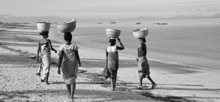 „Madagaskar – wyspy wyobraźni” – wystawa fotografii Reginy Lipeckiej